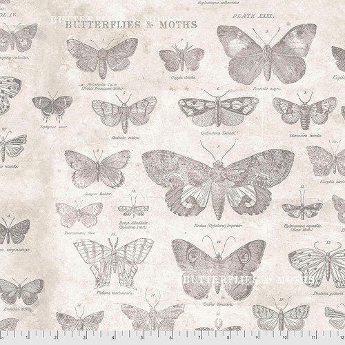 Tim Holtz Monochrome Parchment Butterflies Cotton Fabric by Free Spirit PWTH004.Parchment